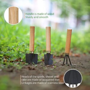 5Pcs Succulent Tools, Mini Garden Tools,Plant Potting Mat as Plant Accessories,Succulent Gardending Hand Tools Kit for Seedling Soil,Caring Succulent,etc,Gifts for Woman’s Gardening work(No Flowerpot)