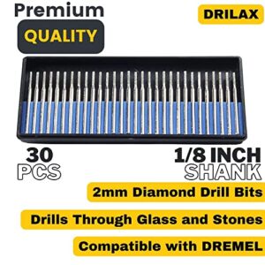 2mm Diamond Drill Bit Jewelry Beach Sea Glass Shells Gemstones 5/64 Inch Tip Bur 1/8 inch Shank Dremel Compatible Burr Lapidary 30 Pieces Case Set