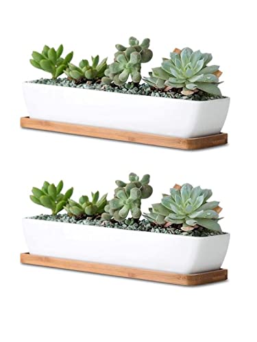 Kipokalor Succulent Planter Pot,2 Set 11.1x2.36x1.77inch Long Rectangular Modern Minimalist White Ceramic with Saucer for Office,Desk,Window.