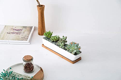 Kipokalor Succulent Planter Pot,2 Set 11.1x2.36x1.77inch Long Rectangular Modern Minimalist White Ceramic with Saucer for Office,Desk,Window.
