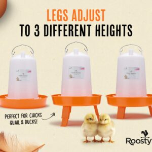 Roosty's Chick Feeder and Waterer Kit - 1L Chick Feeder and 1.5L Chick Waterer | Chicken Feeder and Hanging Chicken Waterer | Duck Feeder, Quail Feeder, Chicken Starter Kit | Baby Chicken Supplies