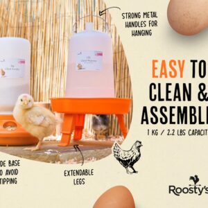 Roosty's Chick Feeder and Waterer Kit - 1L Chick Feeder and 1.5L Chick Waterer | Chicken Feeder and Hanging Chicken Waterer | Duck Feeder, Quail Feeder, Chicken Starter Kit | Baby Chicken Supplies