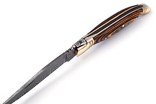 Damascus steel folding knife with leather sheath, 8.5 inches long laguiole pocket knife with 4 inches long Damascus steel Blade, 4.5 inches multi color wood scale with Brass bolster and pommel, Leather sheath included (Yellow Black)