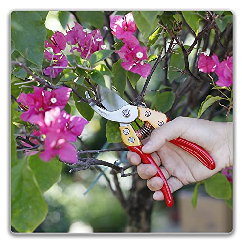 QMVESS 8" Pruning Shears for Gardening, Professional Hand Garden Shears Heavy Duty, Sharp Precision Ground Steel Blade Bypass Garden Scissors, for Flowers, Houseplants, Bonsai or Garden