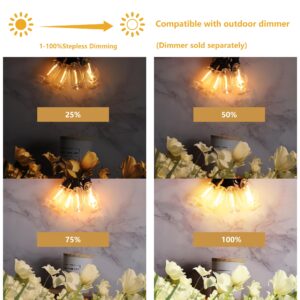 Outdoor String Lights 80ft ST38 Outdoor Lights with Waterproof Shatterproof 42 LED Bulbs(2 Spare)Connectable Patio Lights for Indoor Outdoor Courtyard Cafe Porch Party Led Outdoor String Lights