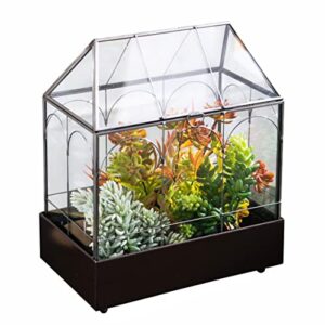 vellon large house shape glass plant terrarium for foliage succulent bonsai air plant, indoor greenhouse, planter box, black - 9.1 x 5.75 x 10.8”