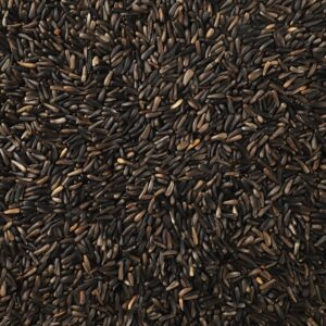 Happy Wings Nyjer/Thistle Seeds Wild Bird Food - 10 Pounds I No Grow Seed I Bird Seed for Wild Birds