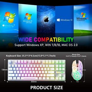 ZIYOU LANG Wireless Gaming Keyboard Mouse and Wired Headphone with Ergonomic 87Key Rainbow Backlight Rechargeable 3800mAh Battery Mechanical Anti-ghosting Mouse pad for PC Laptop Gamer Typist(White)