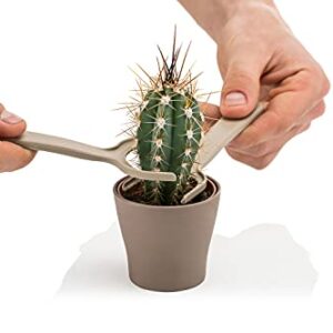 Generic Mini Garden Hand Transplanting Succulent Cacti Cactus Tools Miniature Planting, Set for Fairy Garden, Potting, Houseplant, Bonsai Tools, Bonsai Kit, Shovel, Fork, Green