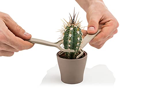 Generic Mini Garden Hand Transplanting Succulent Cacti Cactus Tools Miniature Planting, Set for Fairy Garden, Potting, Houseplant, Bonsai Tools, Bonsai Kit, Shovel, Fork, Green