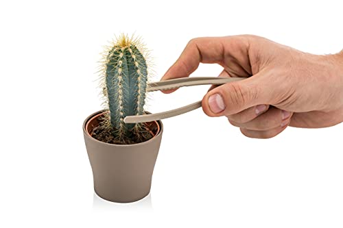 Generic Mini Garden Hand Transplanting Succulent Cacti Cactus Tools Miniature Planting, Set for Fairy Garden, Potting, Houseplant, Bonsai Tools, Bonsai Kit, Shovel, Fork, Green