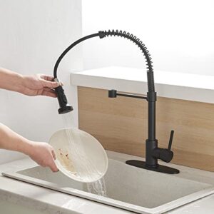 BESy Kitchen Faucet with Pull Out Pull Down Sprayer, Rv Brass High-Arc Single Handle Single Lever Spring Kitchen Sink Faucet, 3 Function Laundry Faucet, Matte Black Finish