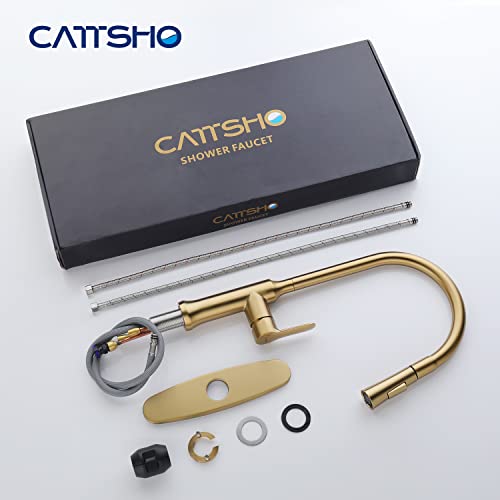 CATTSHO Kitchen Faucet with Pull Down Sprayer, Brass Kitchen Sink Faucet Gold Single Handle High Arc Commercial Spot Resist