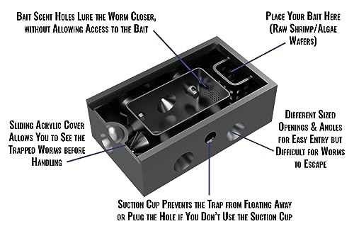 Bristle Worm Trap with Window (Black)