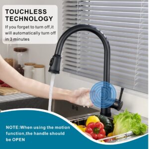 Welsan Touchless Kitchen Faucet, Hands-Free Automatic Smart Faucet with Pull Down Sprayer, Stainless Steel Matte Black, Single Handle Motion Sensor Activated Faucet for Kitchen Sink