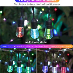 YLXS 48FT RGB String Lights with Rope Fairy, LED RGB Café Patio Lights Outdoor with Remote, Waterproof Shatterproof Edison String Lights for Garden