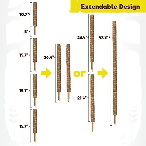 Totem Monkey Moss Pole for Plants Monstera - 47.8 Inch Coir Totem Plant Support - 4 x 15.7 Inch Coco Sticks for Climbing Indoor Potted Plants - 40 Paper Twist Ties - Train Creeper House Plants Grow