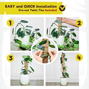 Totem Monkey Moss Pole for Plants Monstera - 47.8 Inch Coir Totem Plant Support - 4 x 15.7 Inch Coco Sticks for Climbing Indoor Potted Plants - 40 Paper Twist Ties - Train Creeper House Plants Grow