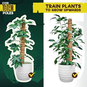 Totem Monkey Moss Pole for Plants Monstera - 47.8 Inch Coir Totem Plant Support - 4 x 15.7 Inch Coco Sticks for Climbing Indoor Potted Plants - 40 Paper Twist Ties - Train Creeper House Plants Grow