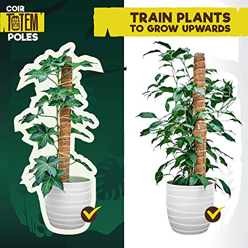 Totem Monkey Moss Pole for Plants Monstera - 47.8 Inch Coir Totem Plant Support - 4 x 15.7 Inch Coco Sticks for Climbing Indoor Potted Plants - 40 Paper Twist Ties - Train Creeper House Plants Grow