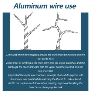 SHHMA Bonsai Wire Aluminum Wire for Bonsai Trees Suitable for Potted Plant Decoration, Black,Diameter:8mm