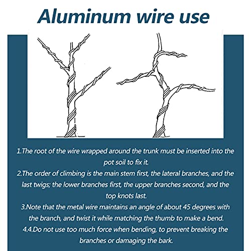 SHHMA Bonsai Wire Aluminum Wire for Bonsai Trees Suitable for Potted Plant Decoration, Weight is 500G,Black,Diameter:2.5mm