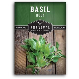 survival garden seeds - holy basil seed for planting - packet with instructions to plant and grow the indian sacred herb tulsi in your home vegetable garden - non-gmo heirloom variety