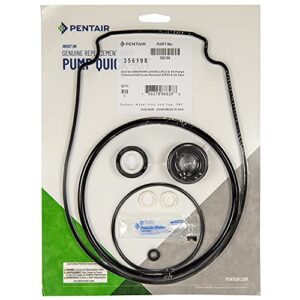 pentair 356198 pump quick-kit with seal and o-rings, whisperflo, intelliflo