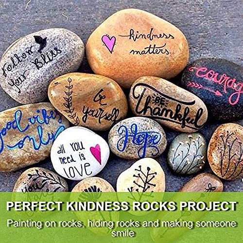 JINNSEIYOI 20PCS River Rocks for Painting, 2-3in Unpolished Stones Assorted Size, Perfect for Painting and Crafting, Family Time, Kid Party and Outdoor Rock Art Garden Decor