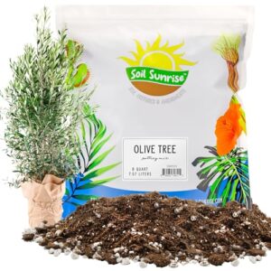 olive tree potting soil mix (8 quarts), for planting, repotting, and growing olive bushes/plants