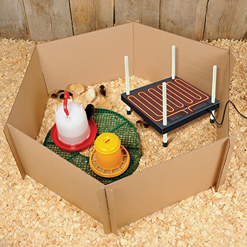 Chicks Heating Plate, Briidea 12'' *12'' Chick Brooders with Adjustable Height, Keeps Up to 20 Chicks Warm, 48W, Black