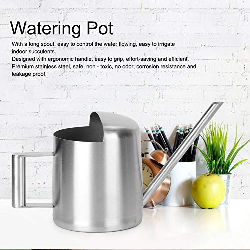 Watering Can for Indoor Plants 300ML Stainless Steel Small Watering Can with Long Spout Watering Pot for House Plant Garden Flower Bonsai Succulents