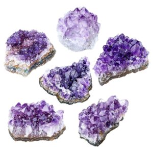 Jovivi Bundle - 2 Items Amethyst Clusters Natural Raw Geode Healng Crystals Stone + Amethyst Crystal Tree Raw Healing Crystals Fluorite Base Bonsai