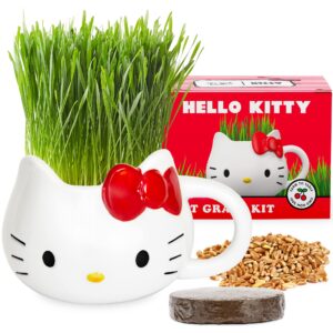 the cat ladies hello kitty organic cat grass growing kit with organic seed mix, soil and hello kitty planter. natural hairball control and digestive remedy,cat gifts