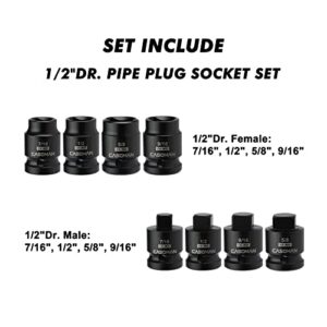 CASOMAN 8PCS 1/2-Inch Drive Pipe Plug Socket Set, Cr-Mo, SAE, Male/Female Set, 7/16", 1/2", 5/8", 9/16", Tapered Male Square Drive, Chamfered Female Square Drive