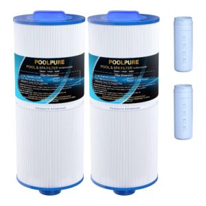 poolpure removable handle spa filter replaces pjw60tl-ot-f2s, jacuzzi prem j300, j400, unicel 6ch-961, 6541-383, 6540-476, 60 sq.ft filter cartridge with built-in dispenser, 2pack