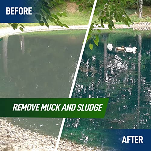 4X Pond Cleaner - Reduces Muck & Sludge for a Clean, Natural Look - Super Concentrated Lake and Water Feature Enzymes Treats Up to 1 Acre, Pair with Dye - Safe for Fish and Wildlife (32 oz)