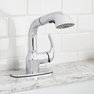 Dunning Single-Handle Pull-Out Laundry Faucet with Dual Spray Function in Chrome
