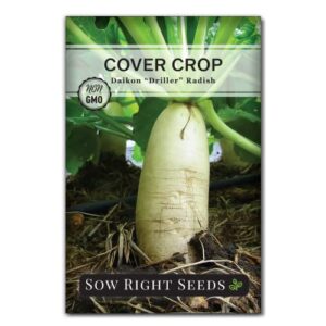 sow right seeds - driller daikon radish seed for planting - cover crops to plant in your home vegetable garden - enriches soil - suppresses weeds - non-gmo heirloom seeds - a great gardening gift
