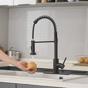 VOTON Kitchen Faucets with Pull Down Sprayer Matte Black Sink Faucet Stainless Steel Commercial Spring Pull Out Farmhouse faucets for Camper Laundry Utility Rv Bar Sink Faucet