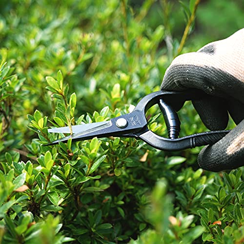 RANSHOU Japanese Bonsai Trimming Scissors 6.8" Made in JAPAN, Garden Plant Trimming Shears, Hand Forged Japanese Carbon Steel Blade, Spring Loaded Handle, Black