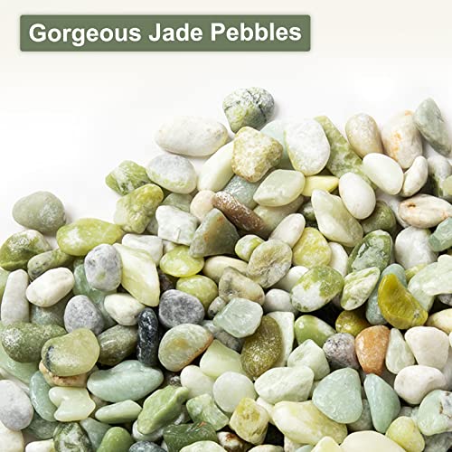 Future Way 5lbs Jade Aquarium Rocks, Pebbles for Indoor Plants, Bamboo, Decorative Stones for Fish Tank, Vase, Terrarium, 3/4 to 1 1/4 Inch, Matte Texture and Smooth Edge