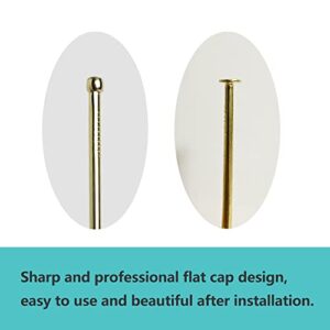 Small Hammer Nails Set, Include Finishing Nails 1-1/2"in (120pcs) & Flat Head Nails 1-1/2"in (120pcs) &100g Engineers' Hammer, Upgrade Brass Plated Gold Nails Hardware for Wood/Wall