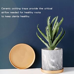 LNQ LUNIQI Round 4 Inch Ceramic Plant Saucer Drip Tray Set of 2 for Indoor Small Flower Pots Home Garden Outdoor Flower Plant Pot,Gold Saucers