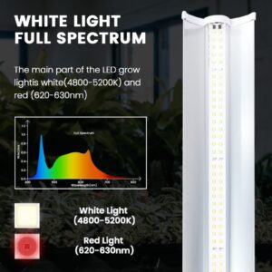 iPower 2 Feet LED Grow Light Stand Natural White Full Spectrum for Indoor Plant Starting Seeds and Propagating Cuttings, Height Adjustable