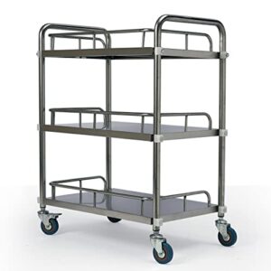 DNYSYSJ 3 Layers Cart Trolley, 3 Layers Lab Utility Cart Trolley Lab Clinic Serving Cart with Lockable Wheel Stainless Steel Frame for Lab Clinic Beauty Salon