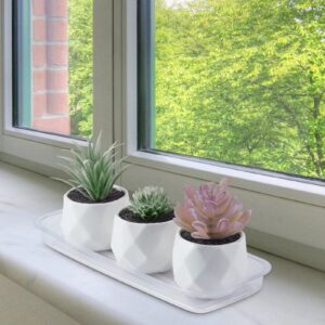 Idyllize Rectangular 5 Pieces of 15 by 6 Inch Clear Thick Plastic Heavy Duty Sturdy Plant Saucer Drip Trays for pots, Window Sills and Window Shelf (15"x6")