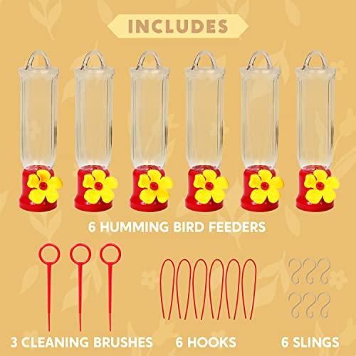 JOIEDOMI Set of 6 Mini Hummingbird Feeders with Hanging Wires, Transparent Outdoor Humming Bird Feeder Set with 3 Cleaning Brush for Patio, Outside, Lawn, Backyard, Garden, Easy to Clean