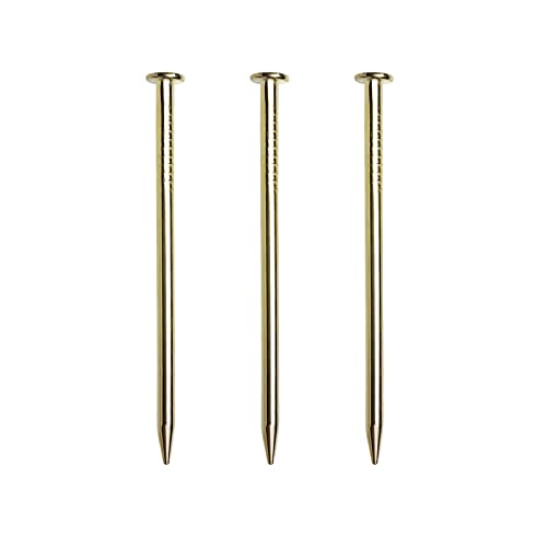 Tuplip Fe- Nails 1-1/2''inch x 14 Gauge (290pc), Flat Head Nails Hardware (38mm), Brass Plated Gold Nails for Hanging Pictures/Wood/Plaster and Concrete Wall/Carpentry/Photo/Frame/Art DIY