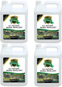 natural armor animal & rodent repellent spray. repels skunks, raccoons, rats, mice, deer rodents & critters. repeller & deterrent in powerful peppermint formula – 128 fl oz gallon refill case of 4